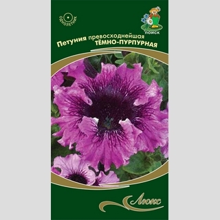 Петуния превосходнейшая Тёмно-пурпурная