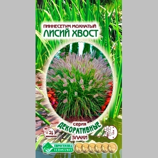 Пиннесетум Лисий Хвост мохнатый