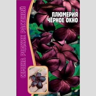 Плюмерия Черное Окно (большой пакет)