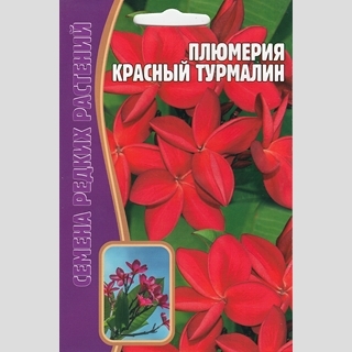 Плюмерия Красный Турмалин (большой пакет)