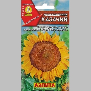 Подсолнечник Казачий