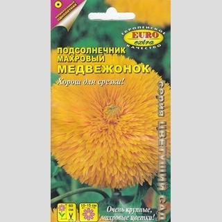 Подсолнечник Медвежонок (декоративный)