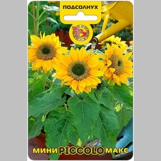 Подсолнух Мини-Макс F1 Пикколо