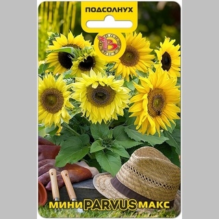Подсолнух Мини-Макс Парвус F1