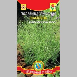 Полевица Шампань (ажурная)