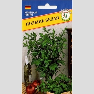 Полынь белая