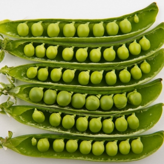 Горох Сладкий поползун