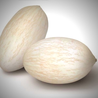 Дыня Портоальто F1