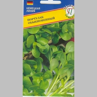 Портулак обыкновенный