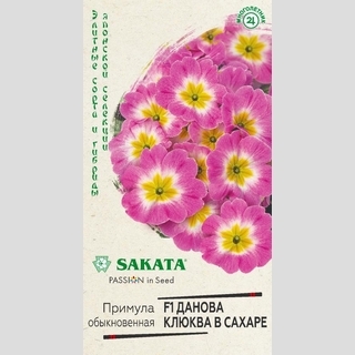 Примула Данова Клюква в сахаре F1 бесстебельная