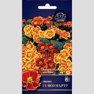 Примула Монмартр F1 (бесстебельная)