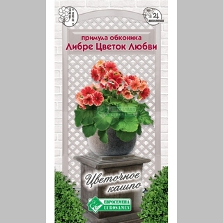 Примула Либре Цветок Любви