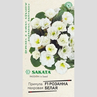 Примула Розанна белая F1 махровая