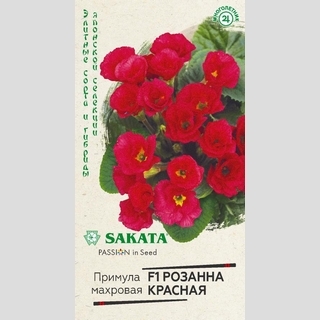 Примула Розанна красная F1 махровая