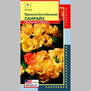 Примула Санрайз бесстебельная (серия Primlet)