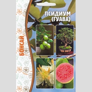 Псидиум (Гуава) Бонсай (большой пакет)
