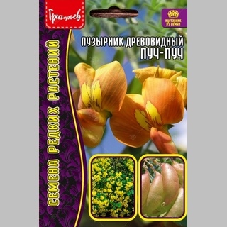 Пузырник древовидный Пуч-Пуч (большой пакет)