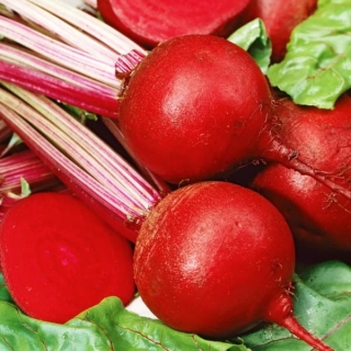 Свекла Красный шар