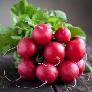 Редис Окрошечный