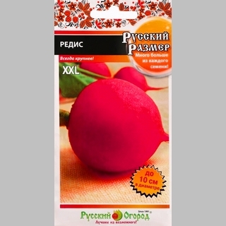 Редис Русский размер