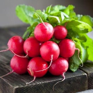 Редис Сахарная молния® F1