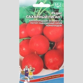 Редис Сахарный Гигант