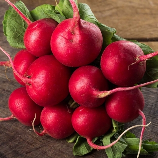 Редис Черриет F1