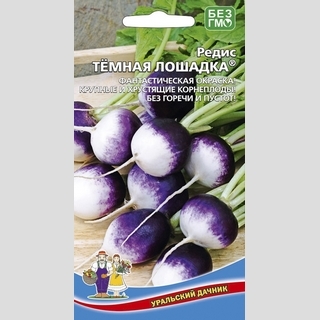 Редис Темная Лошадка