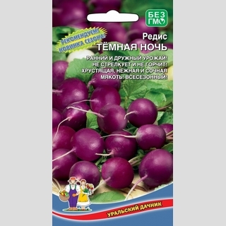 Редис Темная ночь