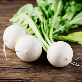 Редька Зимняя Белая круглая