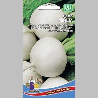Репа Гейша