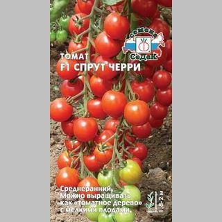 Томат Спрут черри F1
