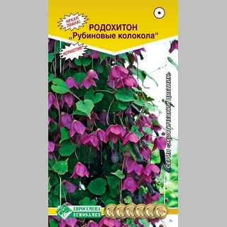 Родохитон Рубиновые Колокола