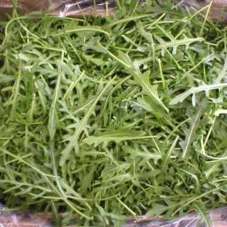 Рукола дикая Рокет (двурядник толстолистный)