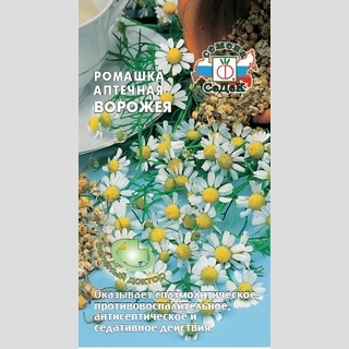 Ромашка Ворожея