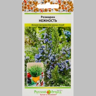 Розмарин Нежность