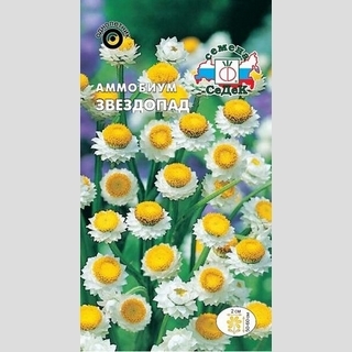 Аммобиум Звездопад крылатый