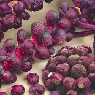 Капуста Рубиновые Бусы