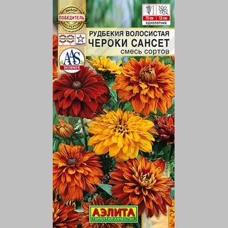 Рудбекия Чероки Сансет