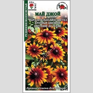 Рудбекия Май Джой