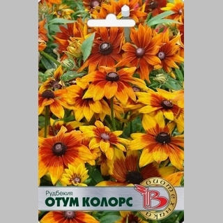 Рудбекия Отум Колорс