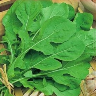 Рукола Культурная (индау) Аромат