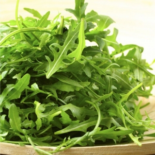 Двурядник Триция тонколистный (рукола)