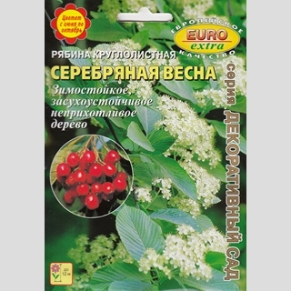 Рябина Серебряная весна круглолистная (большой пакет)