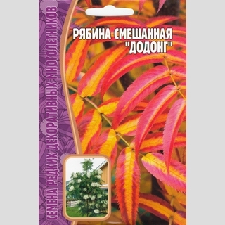 Рябина Додонг смешанная (большой пакет)