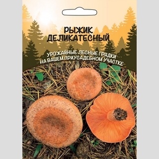 Грибы - Рыжик Деликатесный (мицелий) 30мл (большой пакет)