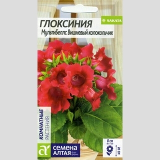 Глоксиния МультиБеллс Вишневый колокольчик F1