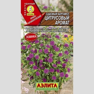 Садовый Бергамот Цитрусовый аромат
