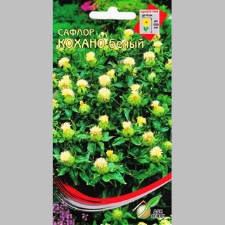 Сафлор Кохано белый