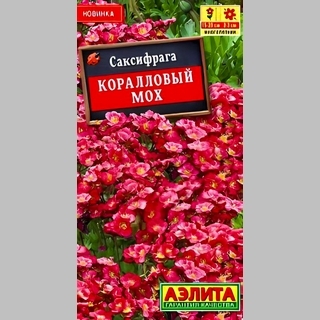 Саксифрага Коралловый мох (камнеломка)